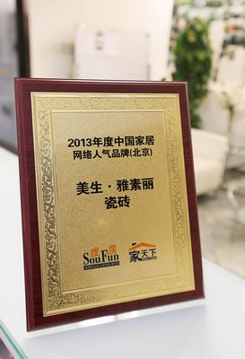 雅素丽品牌瓷砖荣誉：2013网络人气品牌（北京）